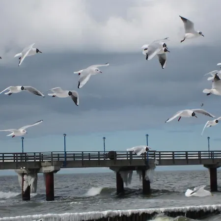 Seewind Holiday home Zingst
